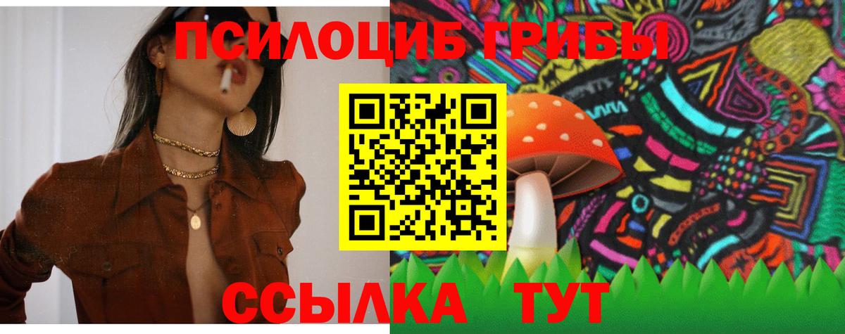 Галлюциногенные грибы прущие грибы Лабинск
